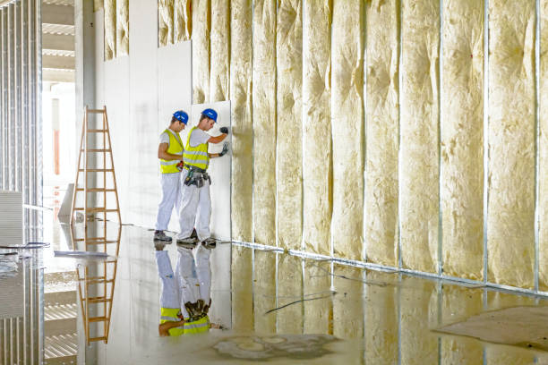 Best Fiberglass Insulation in Gate City, VA